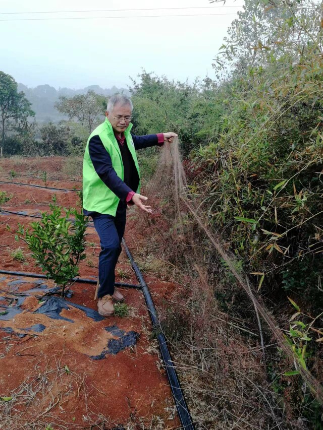 湖南日报|“洞庭湿地护鸟第一人”——记敬业奉献的“湖南好人”李剑志