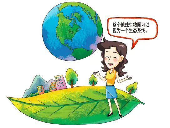 11.3生态系统1.jpg