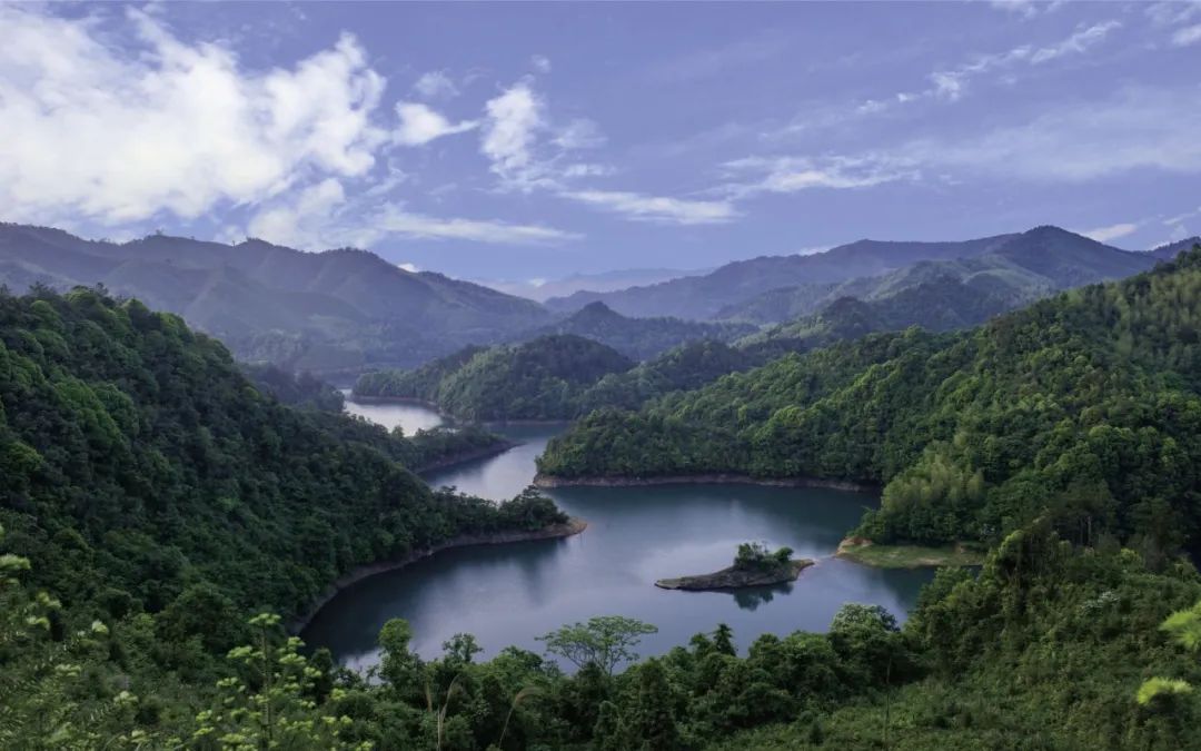 1739149836527093968.jpeg 1739149836527093968.jpeg