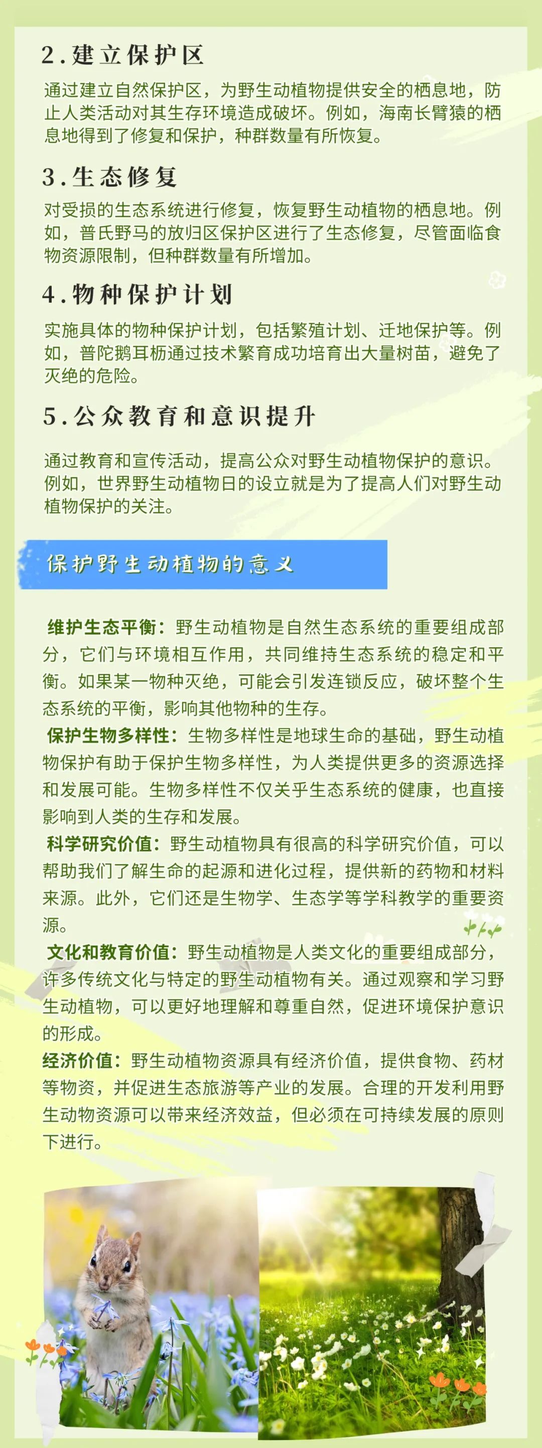 1741051668159061838.jpeg