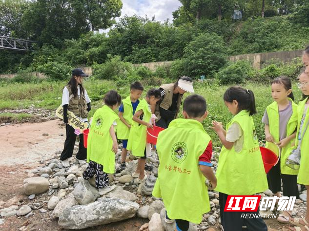 图片22.png 图片22.png