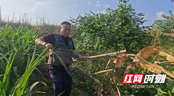 微信图片_20250918221100_899_338.marked.jpg 微信图片_20250918221100_899_338.marked.jpg