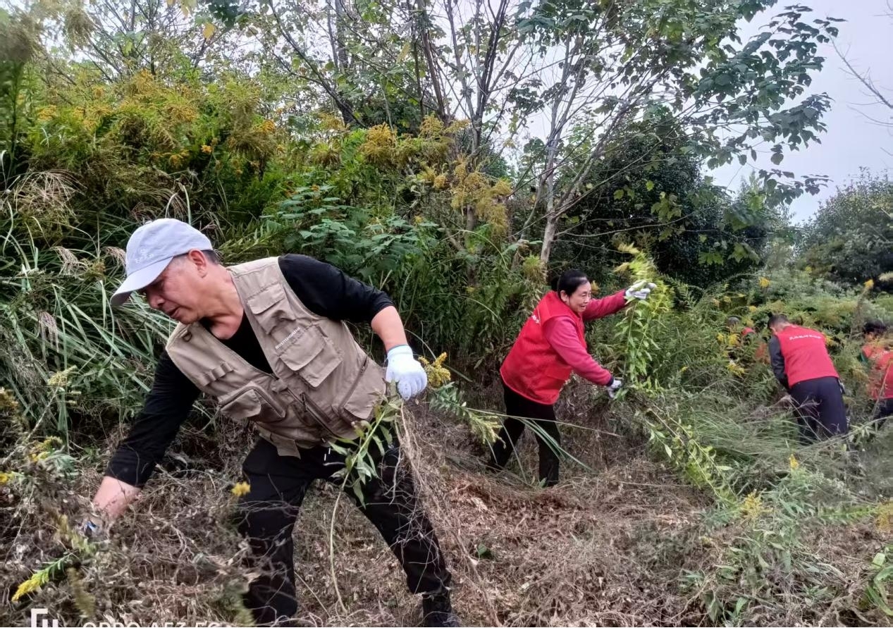 1762933315408006893.jpg 1762933315408006893.jpg