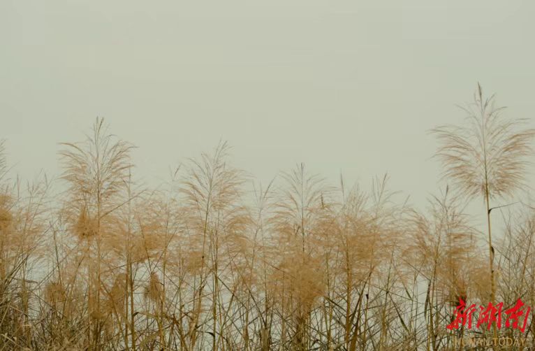 1772442196500076002.jpg 1772442196500076002.jpg