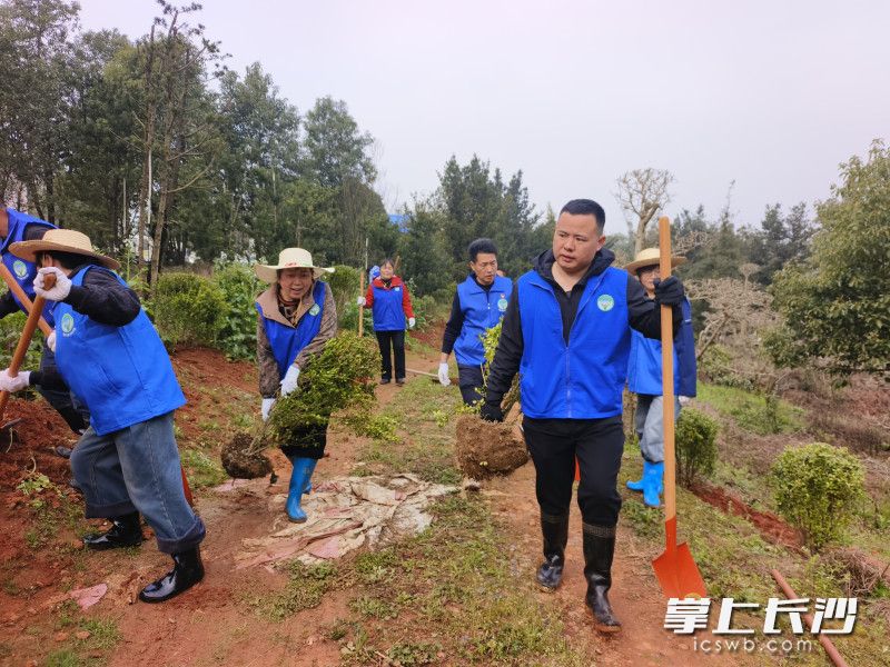 植树现场。 均为通讯员供图
