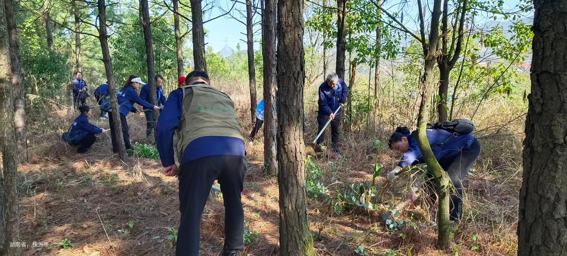 1773652359049019913.jpg 1773652359049019913.jpg