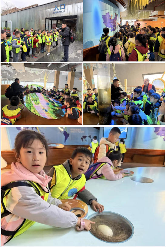 1774313937633056725.jpg 1774313937633056725.jpg