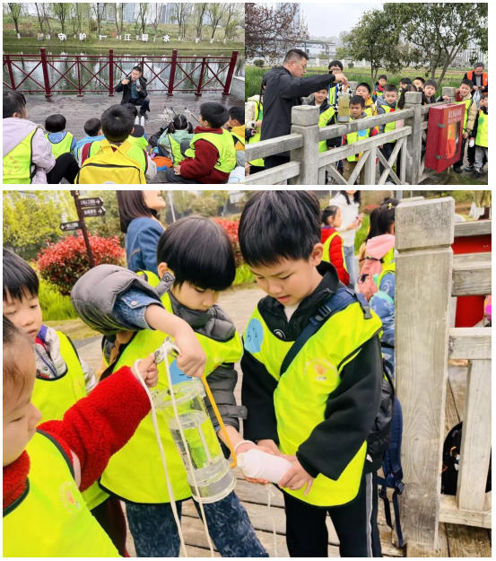 1774313974261020696.jpg 1774313974261020696.jpg