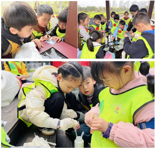 1774314010129009396.jpg 1774314010129009396.jpg