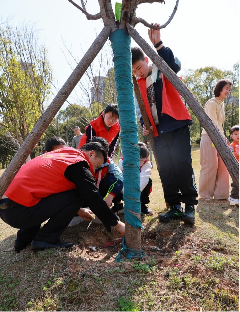 1774863293367001144.jpg 1774863293367001144.jpg