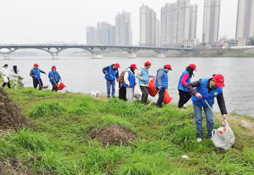 1775790944484075437.jpg 1775790944484075437.jpg