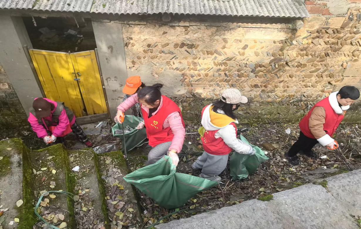 1775790978397039837.jpg 1775790978397039837.jpg