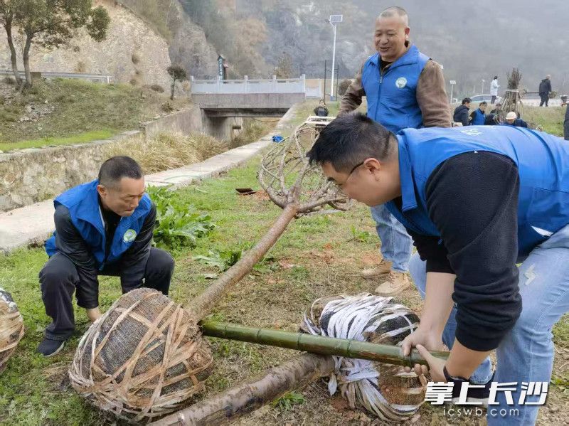 1775791008517047813.jpg 4.10第三期展播7.jpg